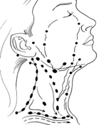японский массаж лица лимфатические узлы