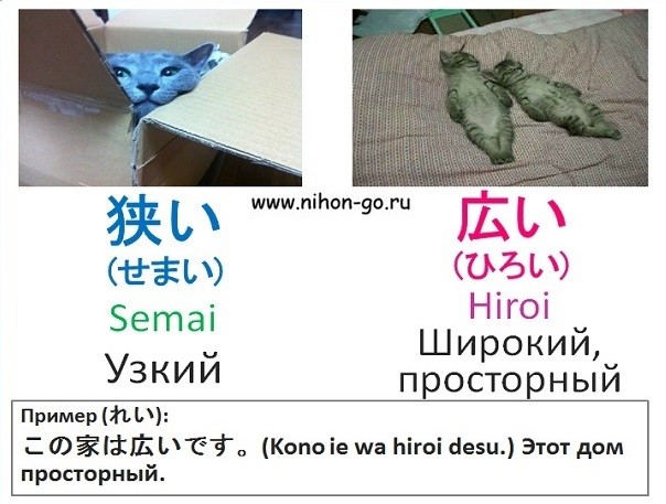 японские прилагательные узкий широкий