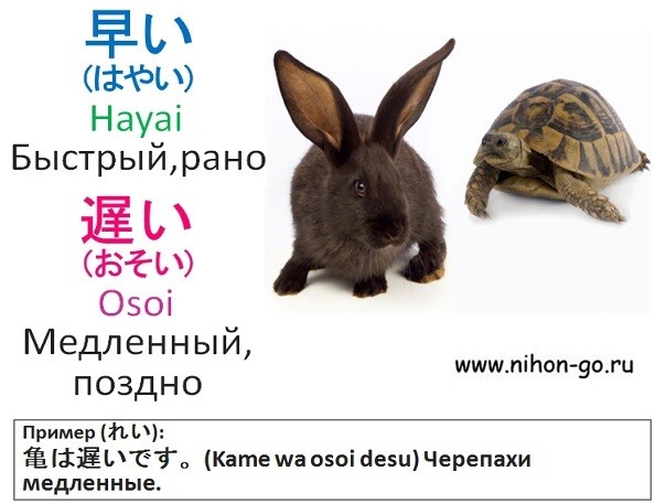 японские прилагательные быстрый медленный