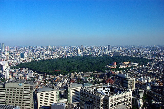Парк Йойоги в Токио