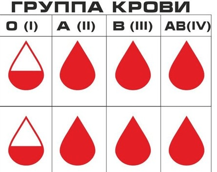 группы крови